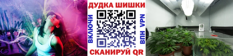 Каннабис OG Kush  гидра tor  Жуковка 